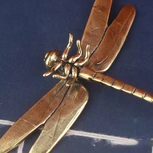 Brass dragonfly - Picture 6 of 8